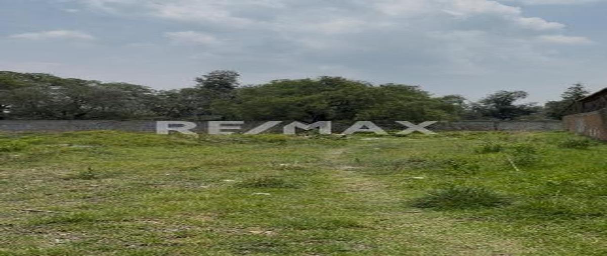 Foto de terreno comercial en venta en camino ex-hacienda san juan tulcingo , san cristóbal caleras (tulcingo), puebla, puebla, 0 No. 05
