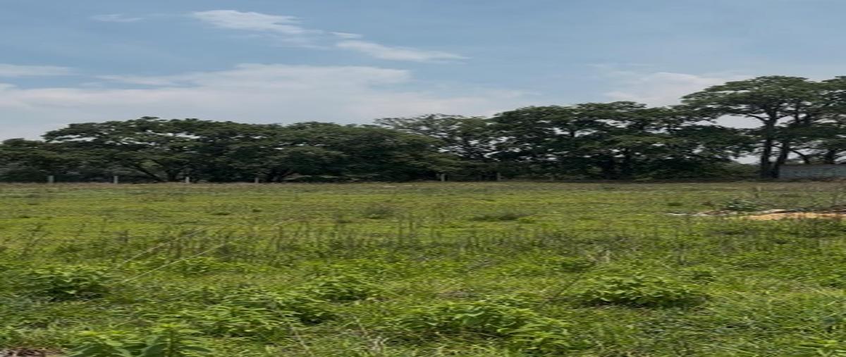 Foto de terreno comercial en venta en camino ex-hacienda san juan tulcingo , san cristóbal caleras (tulcingo), puebla, puebla, 31391225 No. 08