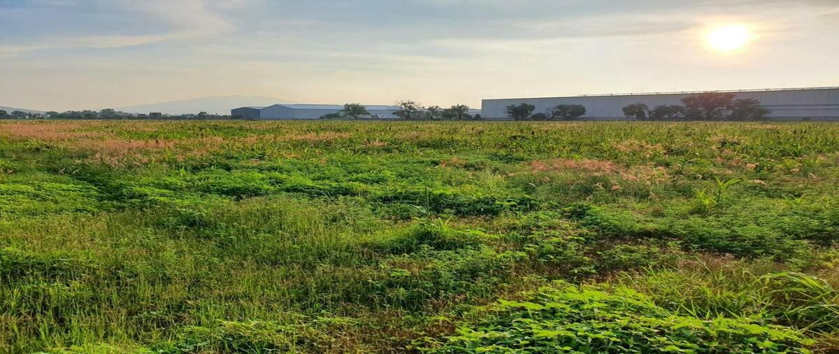 Foto de terreno habitacional en venta en camino fraccionamiento la haciendita , hacienda la loma, zamora, michoacán de ocampo, 30839784 No. 05