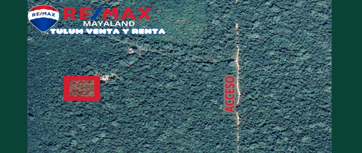 Foto de terreno comercial en venta en camino , francisco uh-may, tulum, quintana roo, 28172696 No. 03