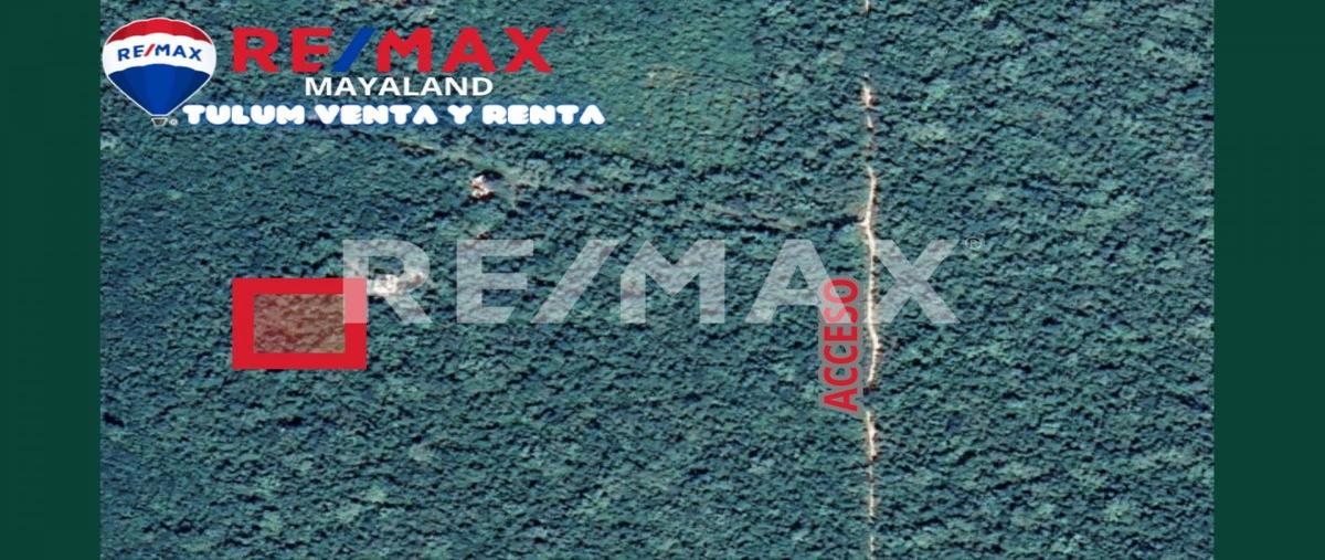 Foto de terreno habitacional en venta en camino , francisco uh-may, tulum, quintana roo, 0 No. 03
