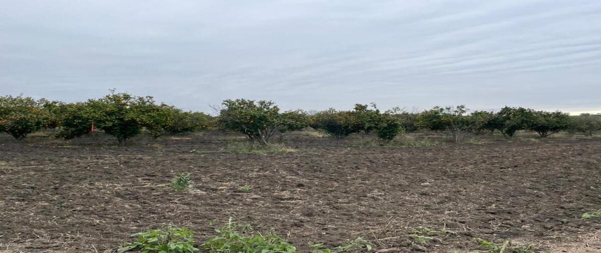 Foto de terreno habitacional en venta en camino hacienda del palmitos , palmitos (hacienda palmitos), cadereyta jiménez, nuevo león, 28376046 No. 01
