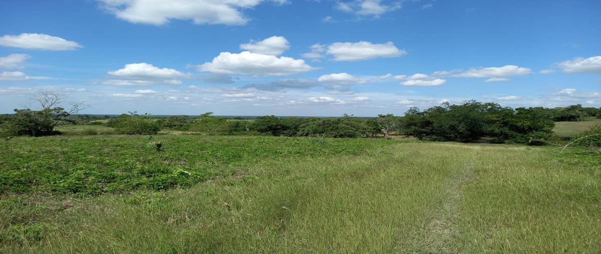 Foto de terreno habitacional en venta en camino horcon potrero a chicayan , horcon, tempoal, veracruz de ignacio de la llave, 0 No. 03