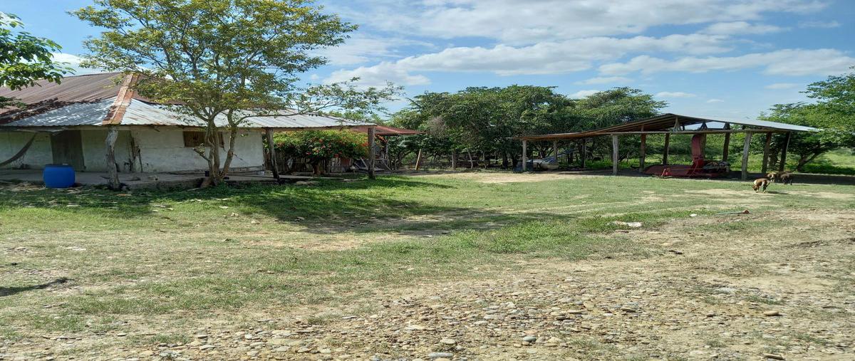 Foto de terreno habitacional en venta en camino horcon potrero a chicayan , horcon, tempoal, veracruz de ignacio de la llave, 0 No. 04