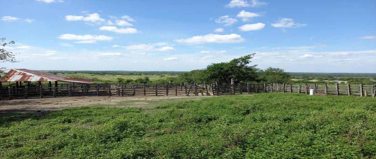 Foto de terreno habitacional en venta en camino horcon potrero a chicayan , horcon, tempoal, veracruz de ignacio de la llave, 0 No. 05