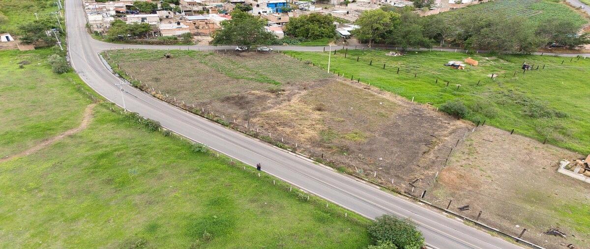 Foto de terreno habitacional en venta en camino huaxtla-santa cruz , huaxtla, el arenal, jalisco, 30222518 No. 05