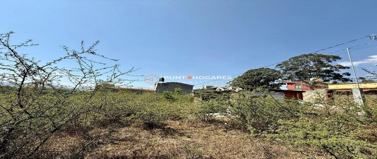 Foto de terreno habitacional en venta en camino joya la huerta , joya de la huerta, morelia, michoacán de ocampo, 0 No. 07