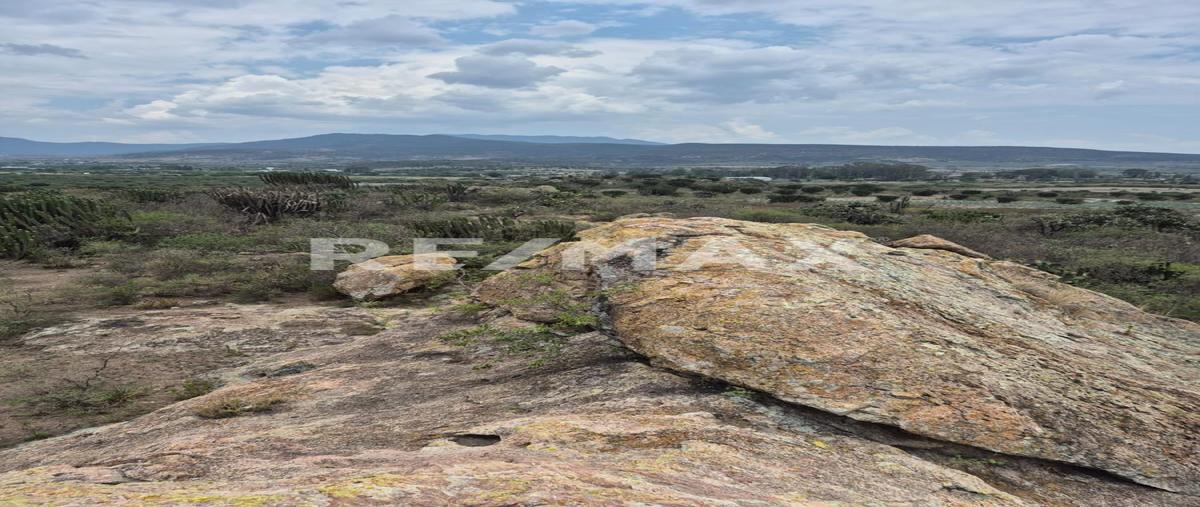 Foto de terreno habitacional en venta en camino la fortaleza , san pablo villa de mitla, san pablo villa de mitla, oaxaca, 0 No. 03