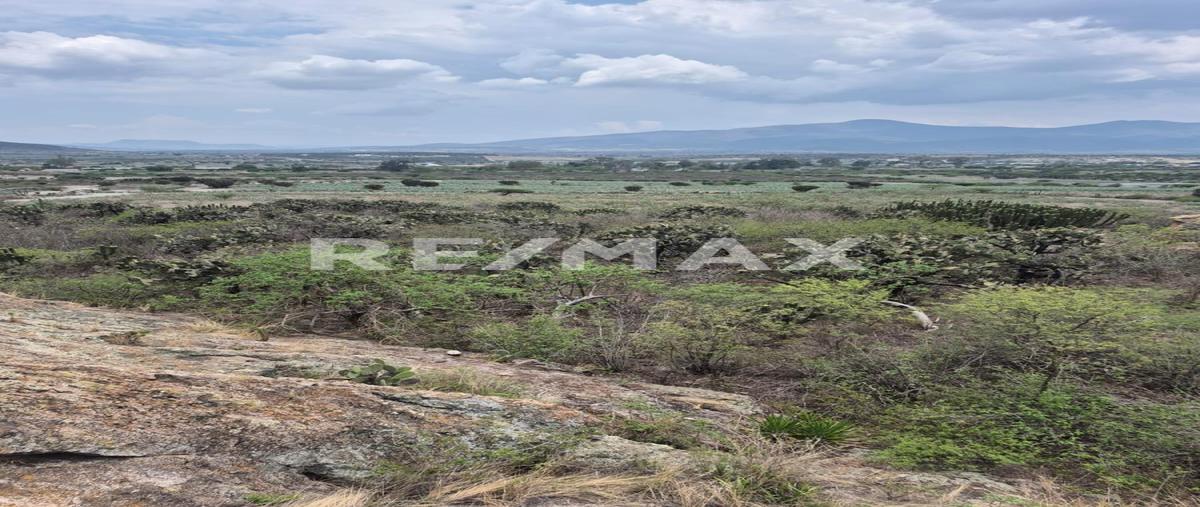 Foto de terreno habitacional en venta en camino la fortaleza , san pablo villa de mitla, san pablo villa de mitla, oaxaca, 0 No. 04