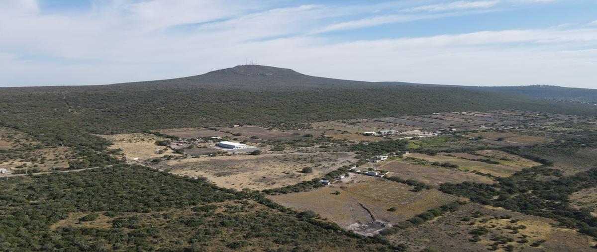 Foto de terreno habitacional en venta en camino la noria , arroyo hondo, corregidora, querétaro, 31454547 No. 04