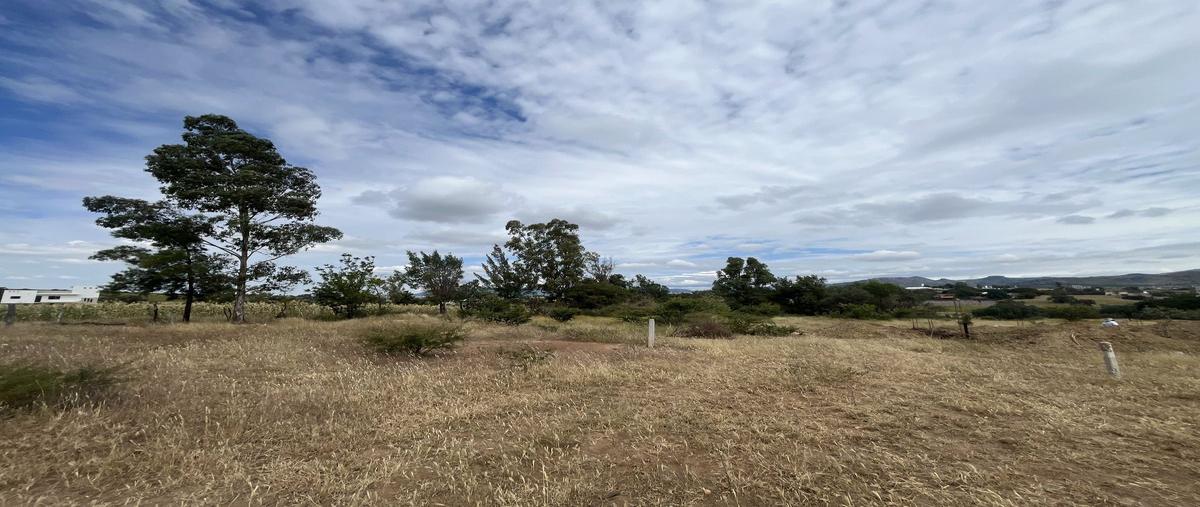 Foto de terreno habitacional en venta en camino la trinidad al tejaban , el tejabán, guanajuato, guanajuato, 0 No. 03