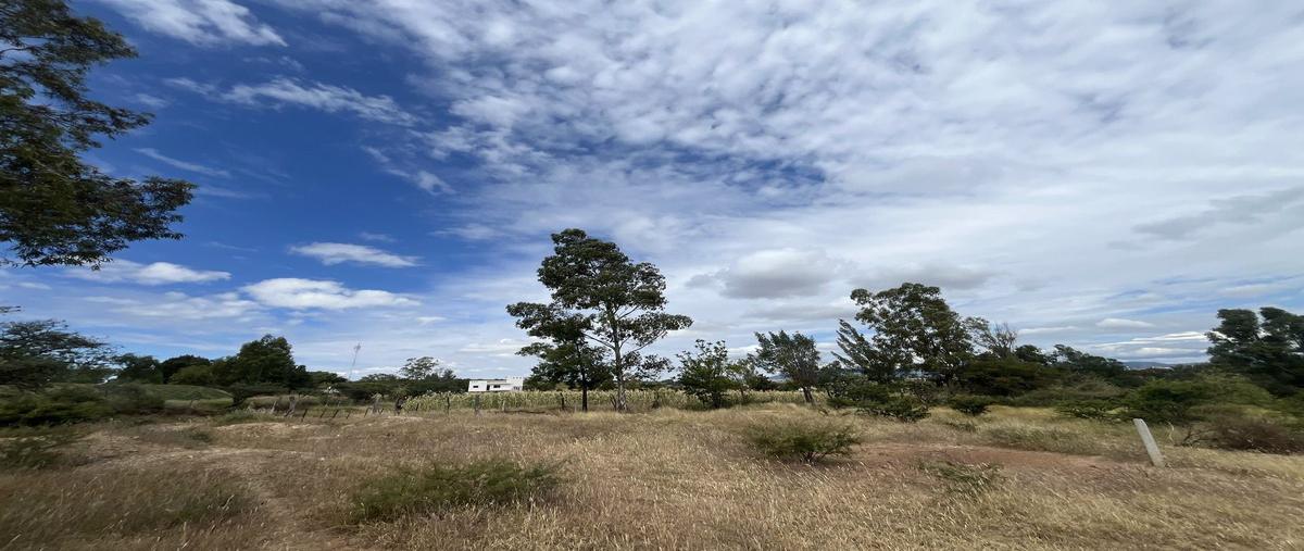 Foto de terreno habitacional en venta en camino la trinidad al tejaban , el tejabán, guanajuato, guanajuato, 0 No. 05