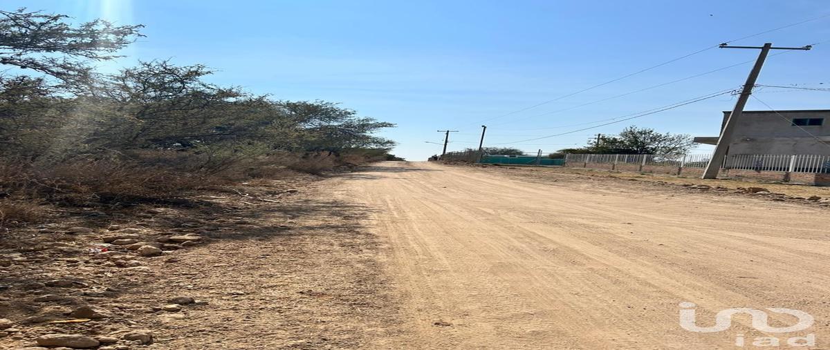 Foto de terreno habitacional en venta en camino , los tepetates, lagos de moreno, jalisco, 0 No. 05