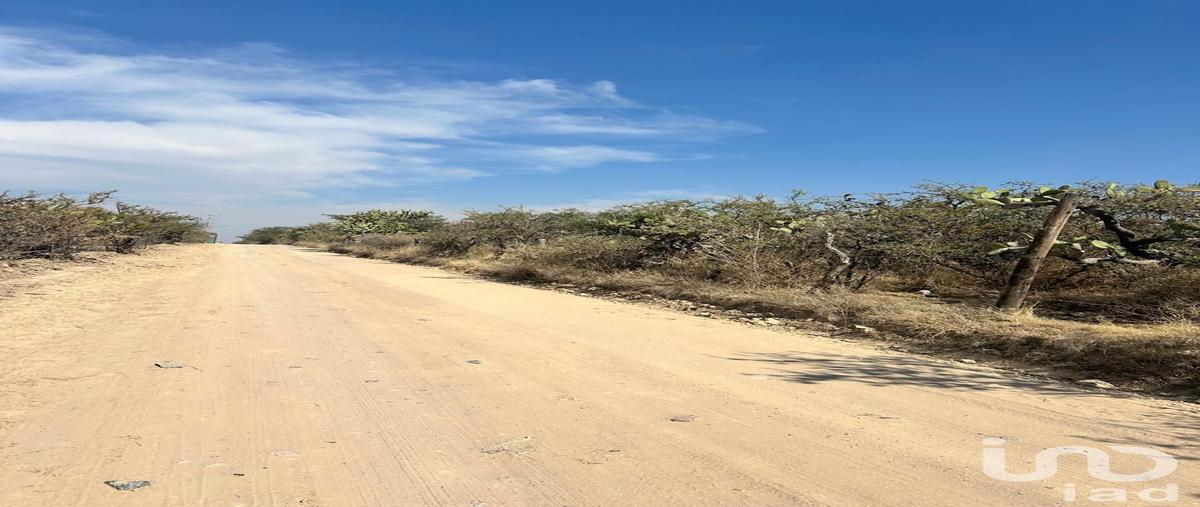 Foto de terreno habitacional en venta en camino , los tepetates, lagos de moreno, jalisco, 0 No. 04