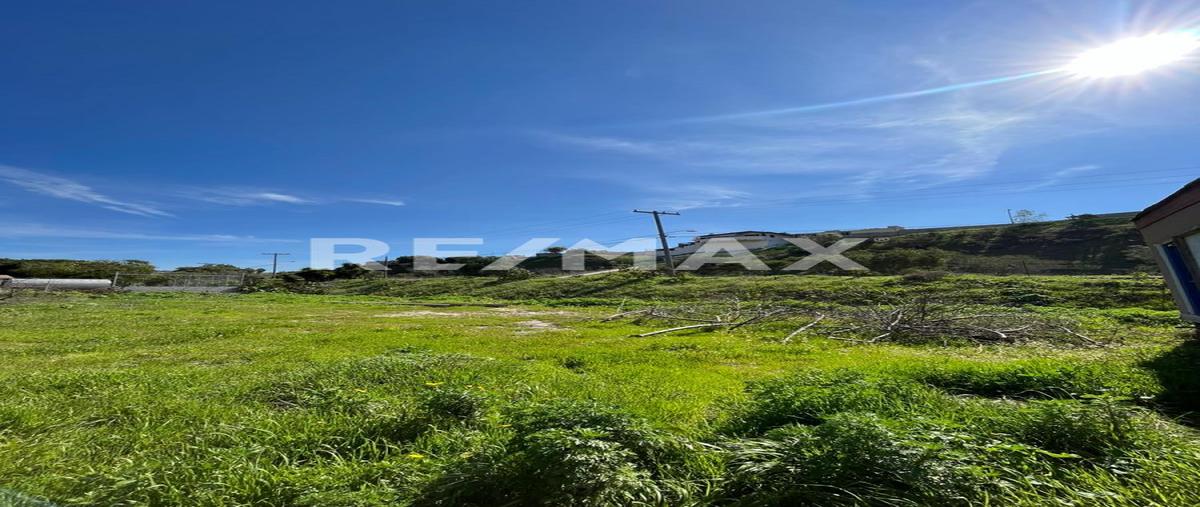Foto de terreno habitacional en venta en camino martín , cuesta blanca, tijuana, baja california, 27729821 No. 04
