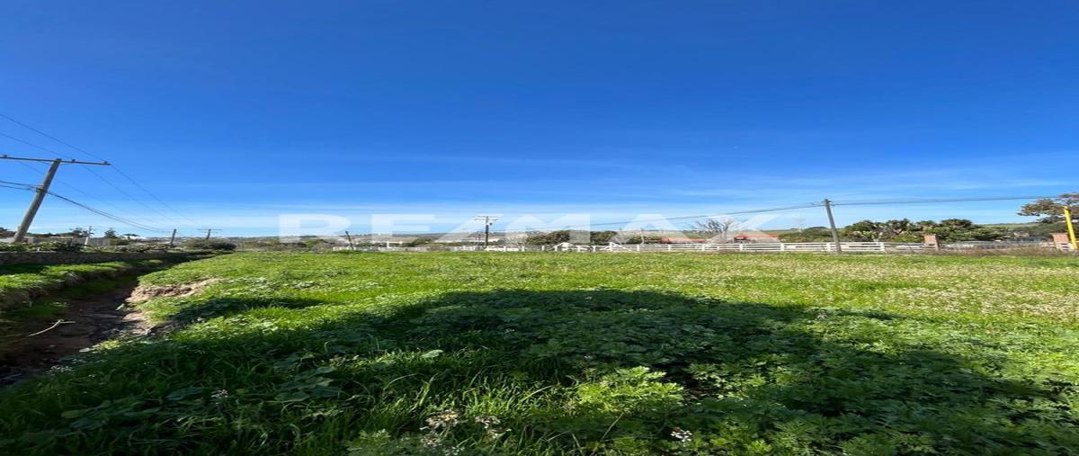 Foto de terreno habitacional en venta en camino martín , cuesta blanca, tijuana, baja california, 27729821 No. 05