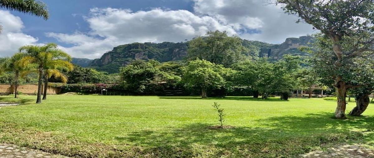 Foto de terreno habitacional en camino mestitla , santo domingo, tepoztlán, morelos, 18381480 foto 01 Foto de terreno habitacional en venta en camino mestitla , santo domingo, tepoztlán, morelos, 18381480 No. 01