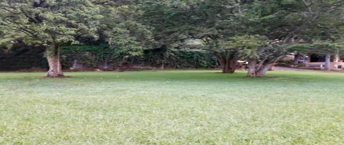 Foto de terreno habitacional en camino mestitla , santo domingo, tepoztlán, morelos, 18381480 foto 03 Foto de terreno habitacional en venta en camino mestitla , santo domingo, tepoztlán, morelos, 18381480 No. 03