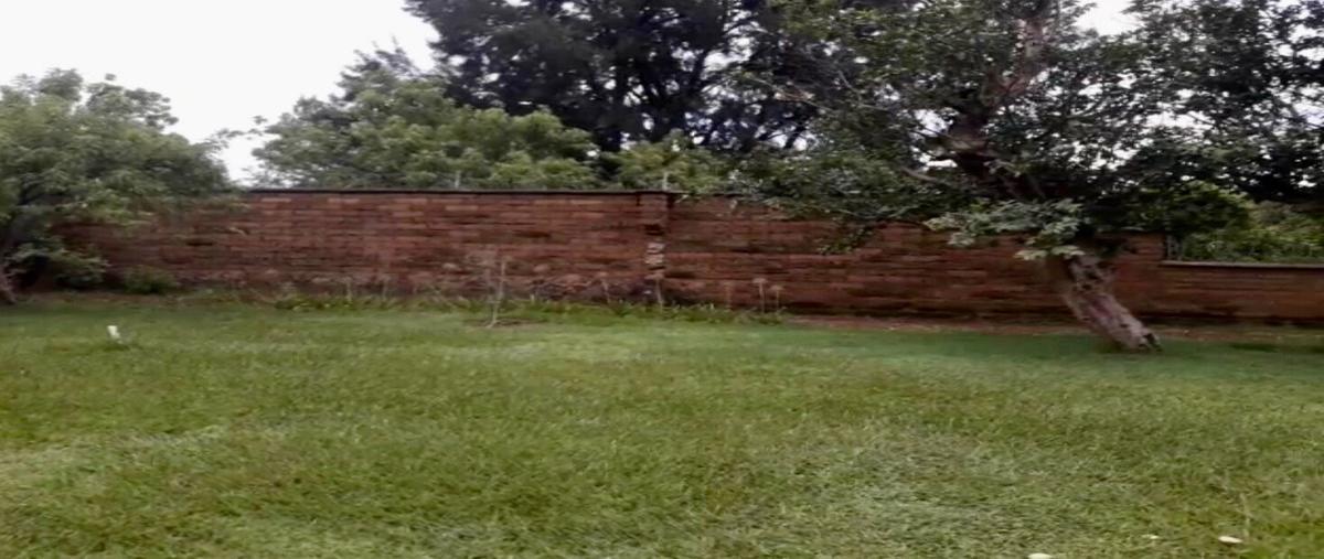 Foto de terreno habitacional en camino mestitla , santo domingo, tepoztlán, morelos, 18381480 foto 04 Foto de terreno habitacional en venta en camino mestitla , santo domingo, tepoztlán, morelos, 18381480 No. 04