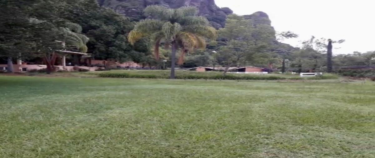 Foto de terreno habitacional en camino mestitla , santo domingo, tepoztlán, morelos, 18381480 foto 05 Foto de terreno habitacional en venta en camino mestitla , santo domingo, tepoztlán, morelos, 18381480 No. 05