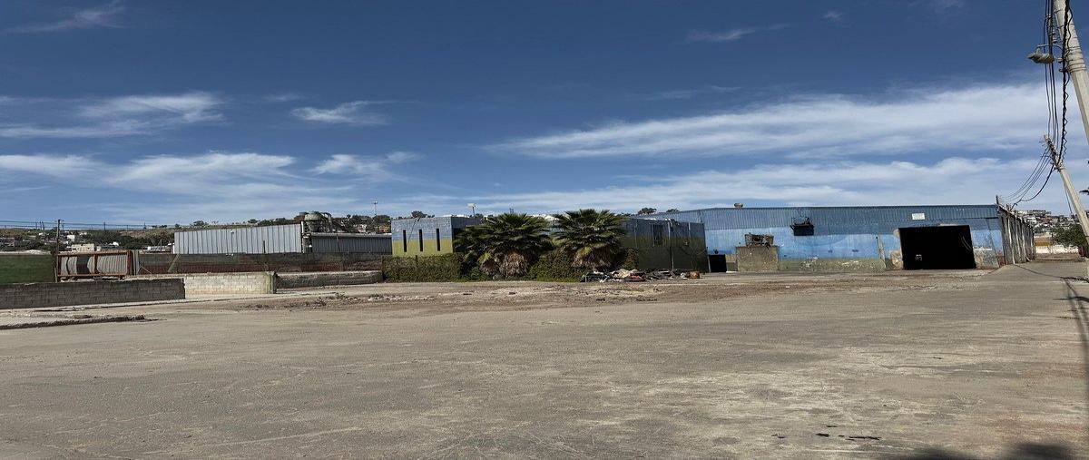 Foto de nave industrial en camino murua , murua oriente, tijuana, baja california, 0 foto 03 Foto de nave industrial en venta en camino murua , murua oriente, tijuana, baja california, 0 No. 03