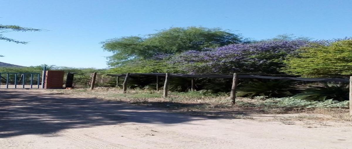Foto de terreno habitacional en venta en camino nuevo fruc mendez , molino de camou (san isidro), hermosillo, sonora, 0 No. 04