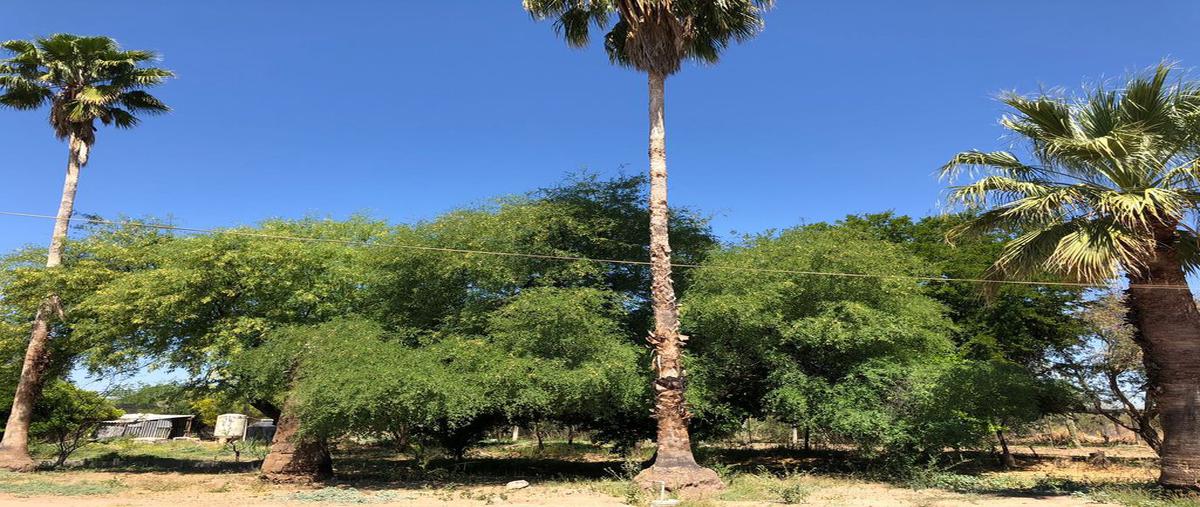 Foto de terreno habitacional en venta en camino nuevo fruc mendez , molino de camou (san isidro), hermosillo, sonora, 0 No. 05