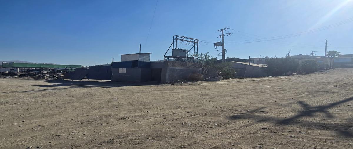 Foto de terreno industrial en camino nuevo leon , viñedos casa blanca, tijuana, baja california, 29259654 foto 02 Foto de terreno industrial en renta en camino nuevo leon , viñedos casa blanca, tijuana, baja california, 29259654 No. 02