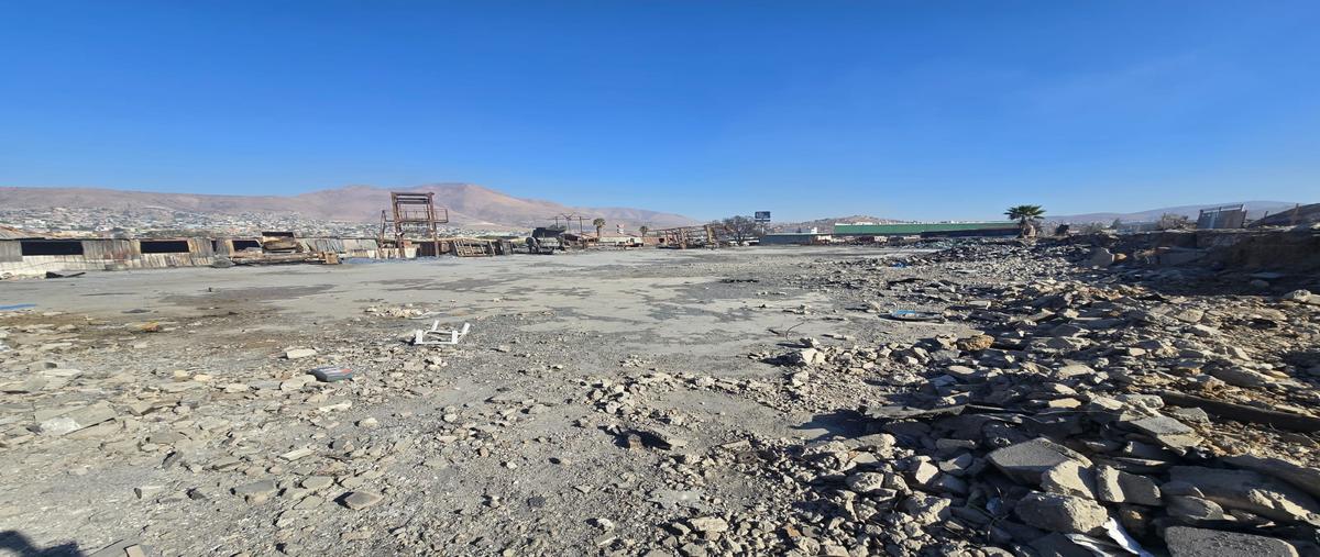 Foto de terreno industrial en camino nuevo leon , viñedos casa blanca, tijuana, baja california, 29259654 foto 03 Foto de terreno industrial en renta en camino nuevo leon , viñedos casa blanca, tijuana, baja california, 29259654 No. 03