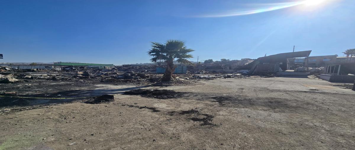 Foto de terreno industrial en camino nuevo leon , viñedos casa blanca, tijuana, baja california, 29259654 foto 04 Foto de terreno industrial en renta en camino nuevo leon , viñedos casa blanca, tijuana, baja california, 29259654 No. 04