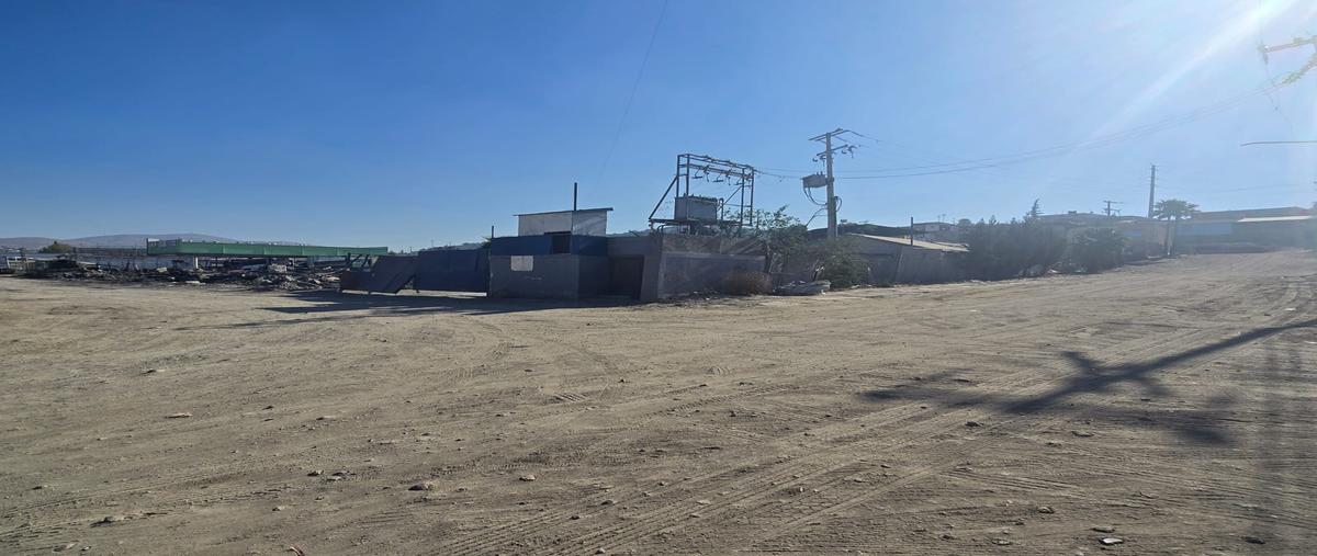 Foto de terreno industrial en camino nuevo leon , viñedos casa blanca, tijuana, baja california, 29259654 foto 05 Foto de terreno industrial en renta en camino nuevo leon , viñedos casa blanca, tijuana, baja california, 29259654 No. 05