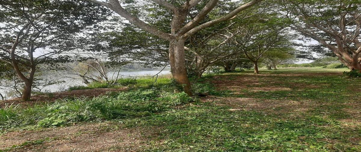 Foto de terreno habitacional en camino ojite tumbadero álamo , túxpam de rodríguez cano centro, tuxpan, veracruz de ignacio de la llave, 0 foto 05 Foto de terreno habitacional en venta en camino ojite tumbadero álamo , túxpam de rodríguez cano centro, tuxpan, veracruz de ignacio de la llave, 0 No. 05