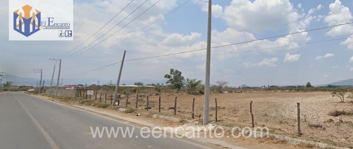 Foto de terreno comercial en camino principal 120, el armadillo, tepic, nayarit, 0 foto 02 Foto de terreno comercial en renta en camino principal 120, el armadillo, tepic, nayarit, 0 No. 02