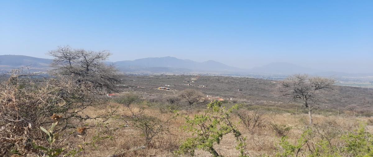 Foto de terreno habitacional en camino principal, lote , miraflores, juanacatlán, jalisco, 31018400 foto 02 Foto de terreno habitacional en venta en camino principal, lote , miraflores, juanacatlán, jalisco, 31018400 No. 02