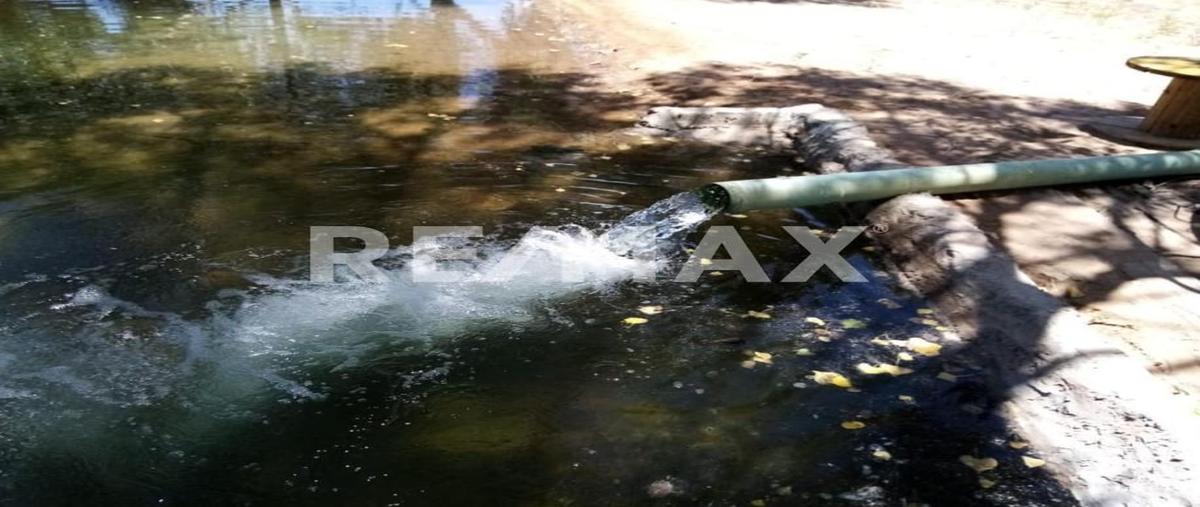 Foto de rancho en camino público , rancho nuevo, ahumada, chihuahua, 0 foto 03 Foto de rancho en venta en camino público , rancho nuevo, ahumada, chihuahua, 0 No. 03