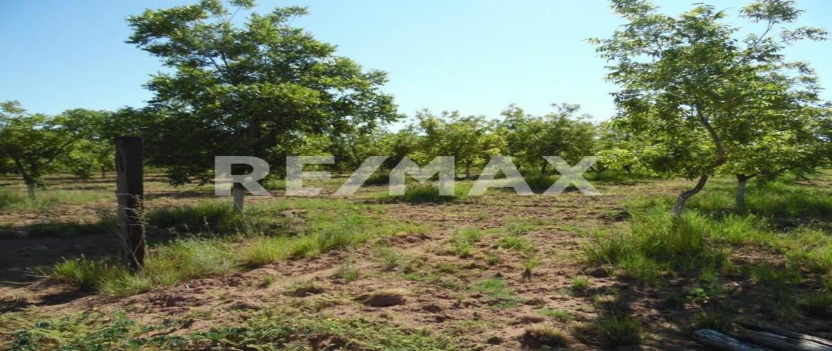 Foto de rancho en camino público , rancho nuevo, ahumada, chihuahua, 0 foto 05 Foto de rancho en venta en camino público , rancho nuevo, ahumada, chihuahua, 0 No. 05