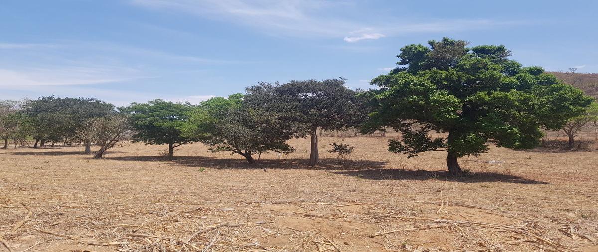 Foto de rancho en camino pueblo viejo , cuauhtémoc, villaflores, chiapas, 15909345 foto 01 Foto de rancho en venta en camino pueblo viejo , cuauhtémoc, villaflores, chiapas, 15909345 No. 01