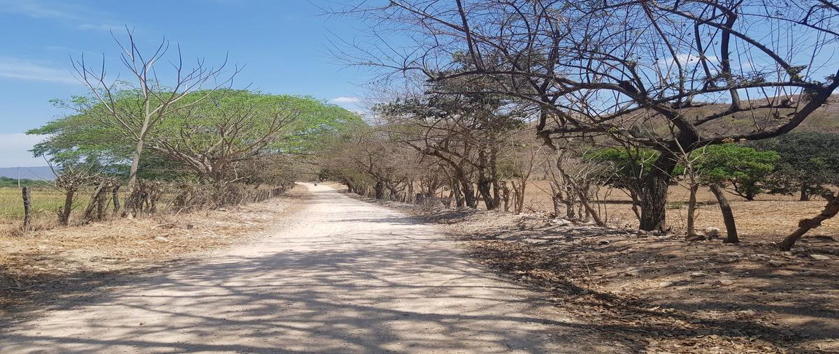 Foto de rancho en camino pueblo viejo , cuauhtémoc, villaflores, chiapas, 15909345 foto 02 Foto de rancho en venta en camino pueblo viejo , cuauhtémoc, villaflores, chiapas, 15909345 No. 02