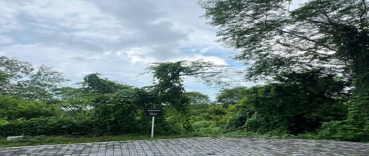 Foto de terreno habitacional en venta en camino punta de mita kilometro 14. punta de mita, , punta de mita, bahía de banderas, nayarit, 0 No. 02