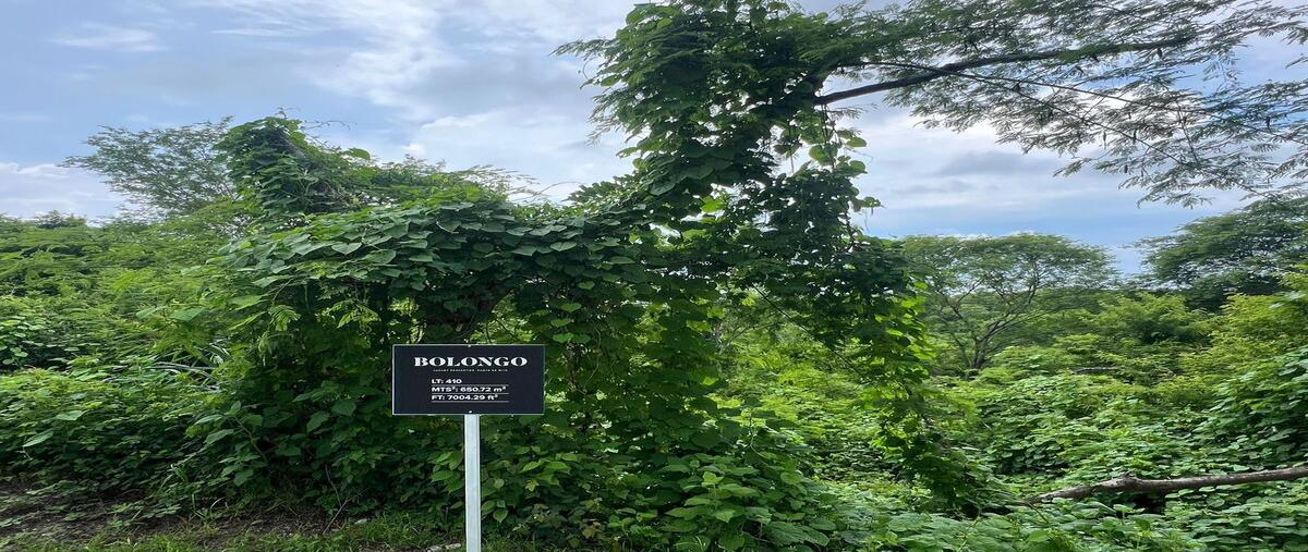 Foto de terreno habitacional en venta en camino punta de mita kilometro 14. punta de mita, , punta de mita, bahía de banderas, nayarit, 0 No. 04