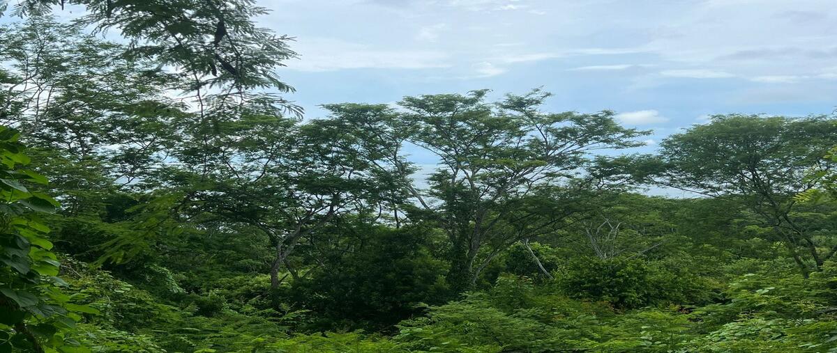 Foto de terreno habitacional en venta en camino punta de mita kilometro 14. punta de mita, , punta de mita, bahía de banderas, nayarit, 0 No. 05