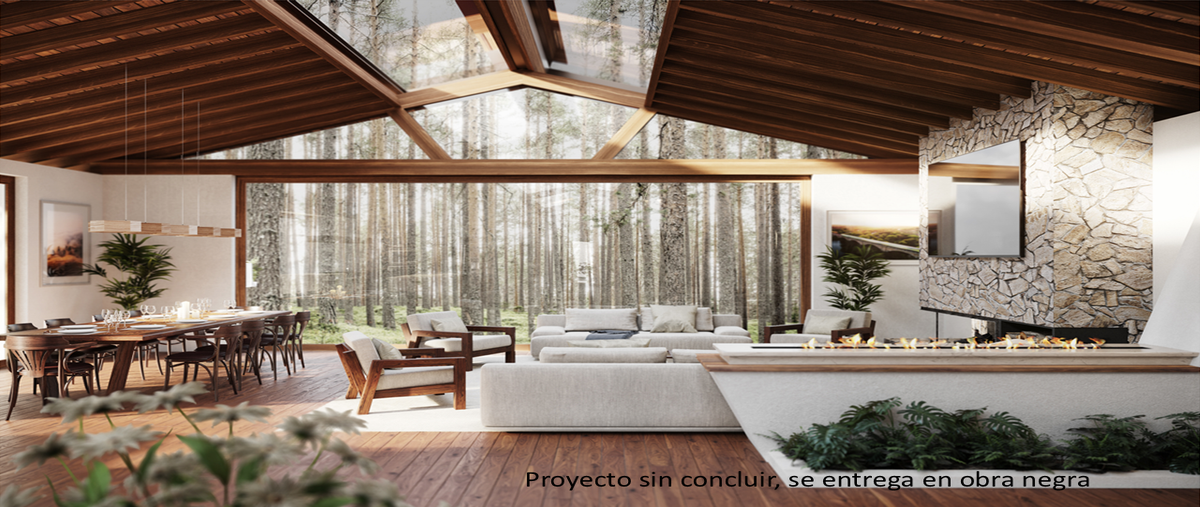 Foto de terreno habitacional en venta en camino quinta andrea , bermúdez, huasca de ocampo, hidalgo, 30527037 No. 04