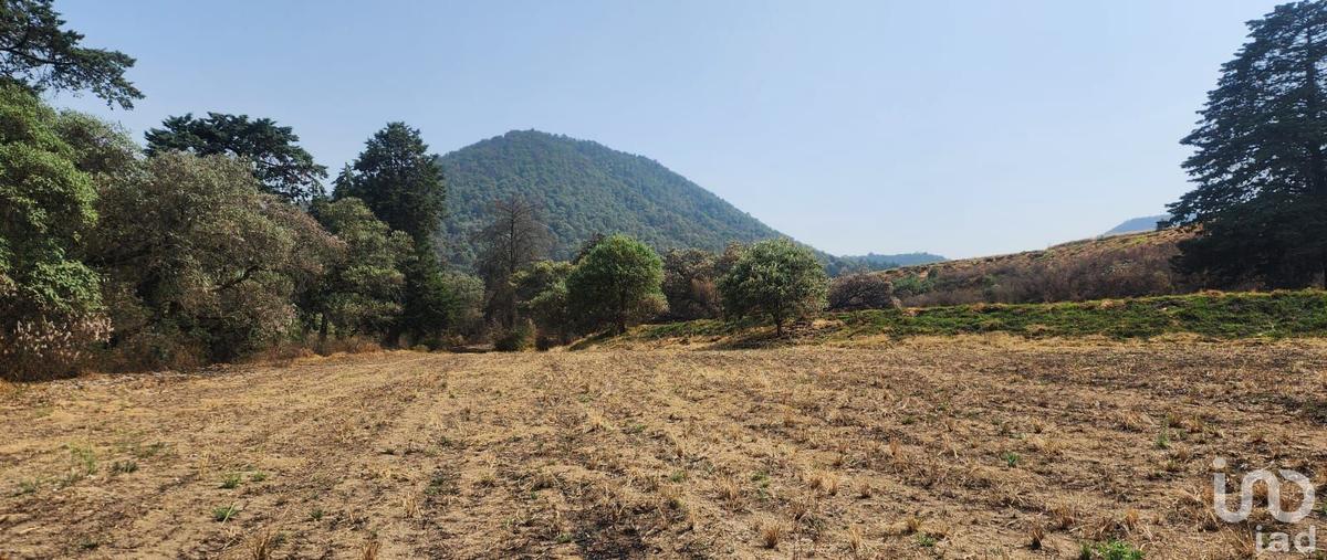 Foto de terreno comercial en camino rancho la meza 58, gavillero (rancho el gavillero), tlalmanalco, méxico, 29773935 foto 01 Foto de terreno comercial en venta en camino rancho la meza 58, gavillero (rancho el gavillero), tlalmanalco, méxico, 29773935 No. 01