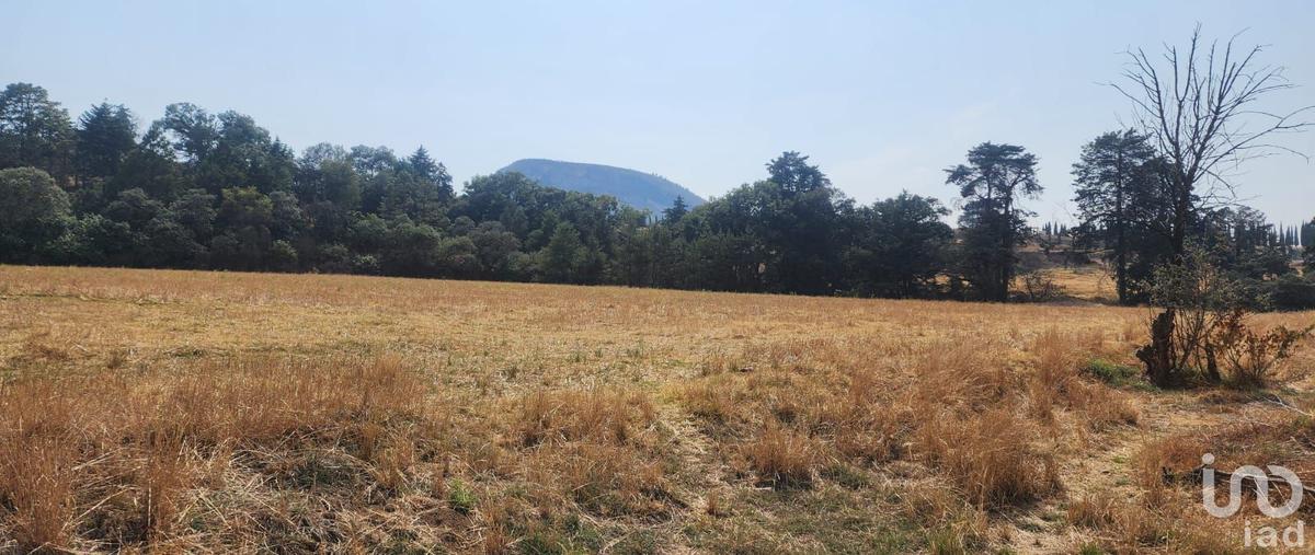 Foto de terreno comercial en camino rancho la meza 58, gavillero (rancho el gavillero), tlalmanalco, méxico, 29773935 foto 02 Foto de terreno comercial en venta en camino rancho la meza 58, gavillero (rancho el gavillero), tlalmanalco, méxico, 29773935 No. 02