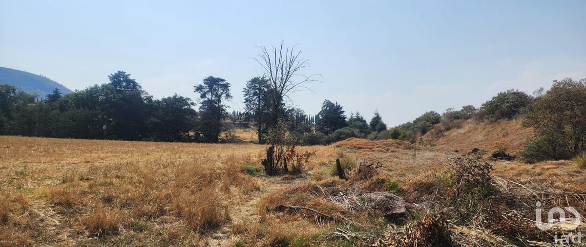 Foto de terreno comercial en camino rancho la meza 58, gavillero (rancho el gavillero), tlalmanalco, méxico, 29773935 foto 04 Foto de terreno comercial en venta en camino rancho la meza 58, gavillero (rancho el gavillero), tlalmanalco, méxico, 29773935 No. 04