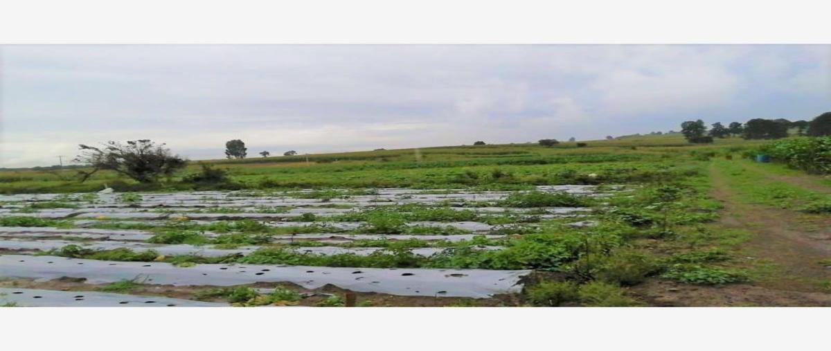 Foto de terreno comercial en camino real 101, san andrés cholula centro, san andrés cholula, puebla, 0 foto 04 Foto de terreno comercial en venta en camino real 101, san andrés cholula centro, san andrés cholula, puebla, 0 No. 04