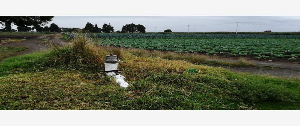 Foto de terreno comercial en camino real 101, san andrés cholula centro, san andrés cholula, puebla, 0 foto 05 Foto de terreno comercial en venta en camino real 101, san andrés cholula centro, san andrés cholula, puebla, 0 No. 05