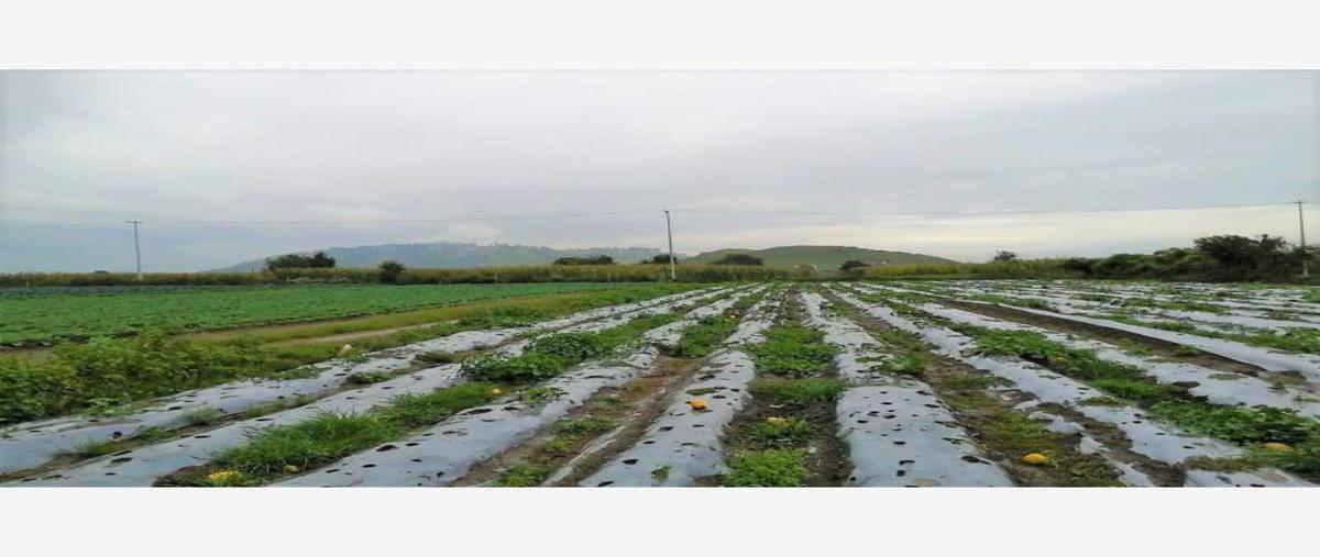 Foto de terreno comercial en venta en camino real 101, san andrés cholula centro, san andrés cholula, puebla, 30254910 No. 03