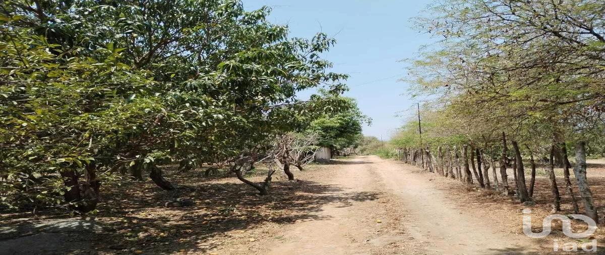 Foto de terreno habitacional en venta en camino real 76, nandambua 1a sección, chiapa de corzo, chiapas, 30054475 No. 03