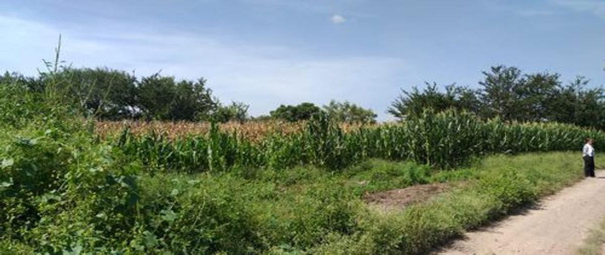 Foto de terreno habitacional en venta en camino real a agua amarilla , los olivos de tlaquepaque, san pedro tlaquepaque, jalisco, 15178037 No. 01